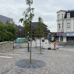 Neue Bäume am Kirchplatz
